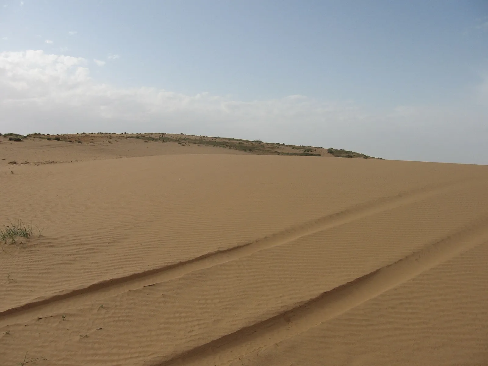 דיונות בשמורת חולות עגור, צפונית לכביש 211