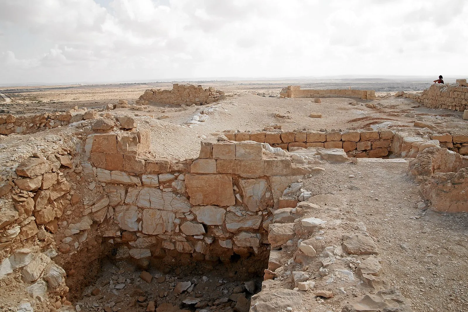 שרידי המצודה והכנסייה הצפונית בראש תל ניצנה, ומאחוריהם המישור הפתוח