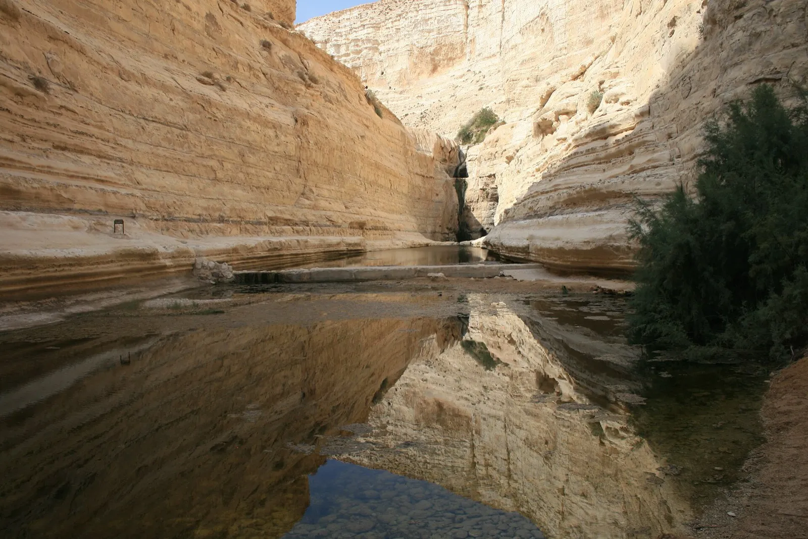 בריכת עין עבדת בין קירות הקניון הלבנים, והמפל ברקע