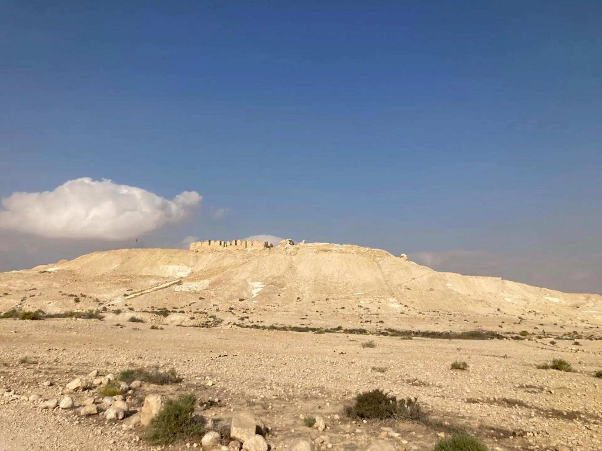 תל ניצנה ממרחק: גבעה בהירה ועל ראשה שרידי מבנים, מתחת לשמיים כחולים