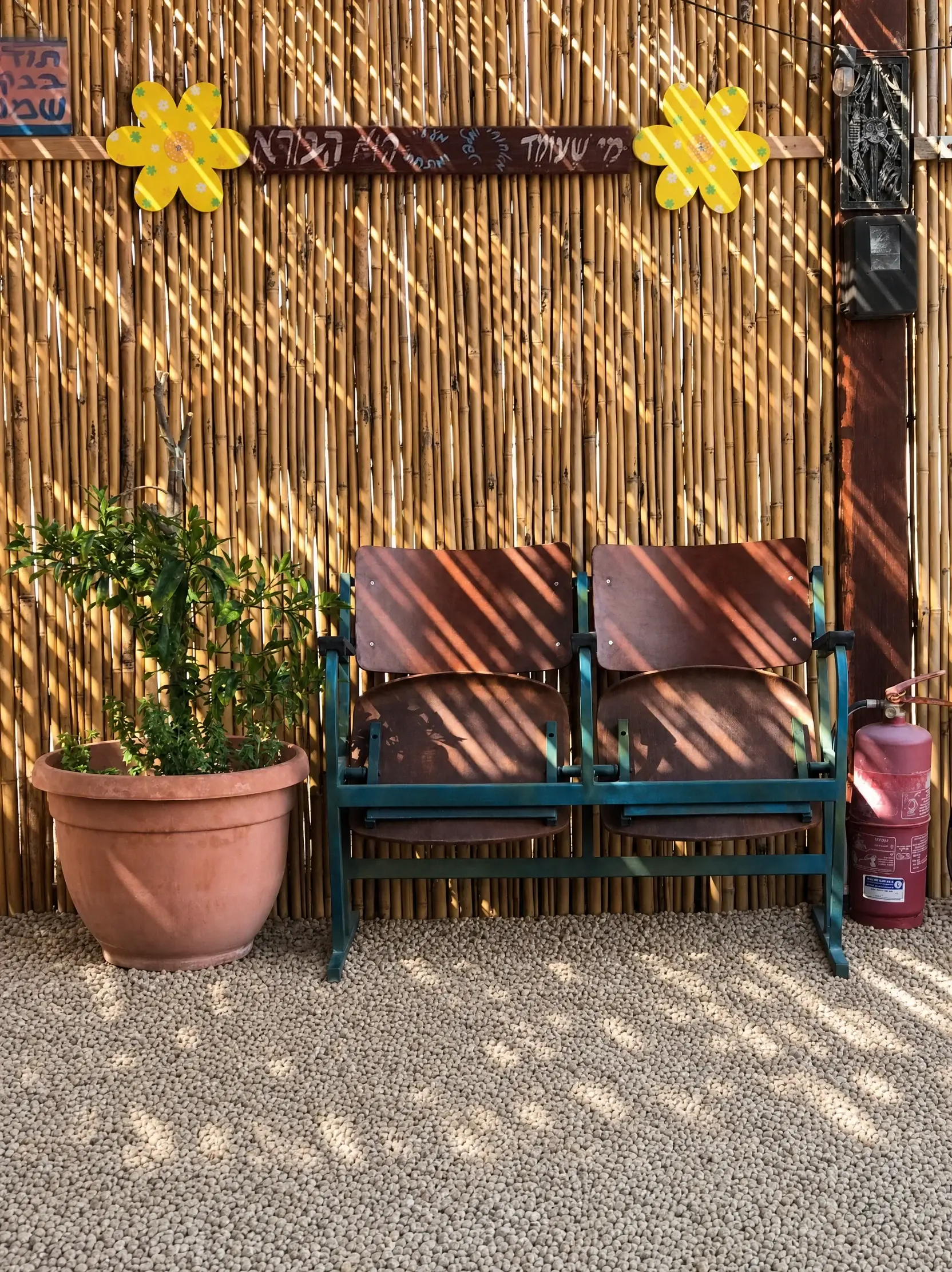 A wooden bench and a plant against a bamboo fence